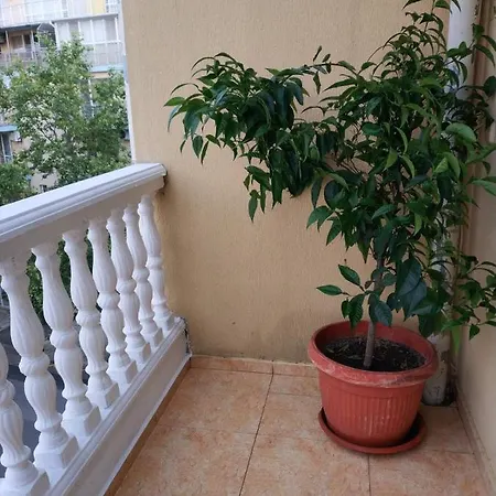 Palmas Apartament